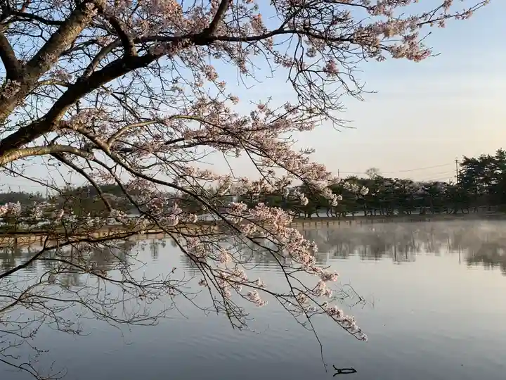 牟禮山観音禅寺の自然