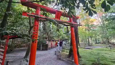 野宮神社(京都府)