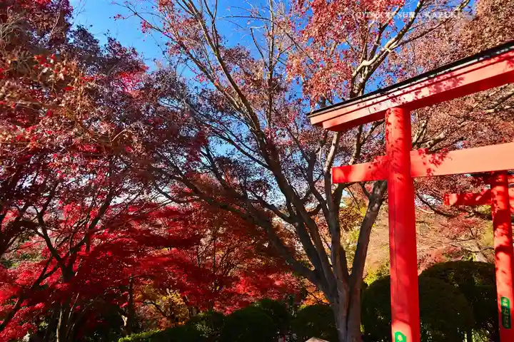 足利織姫神社(栃木県)