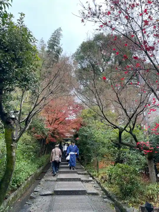 高台寺(高台寿聖禅寺・高臺寺)(京都府)