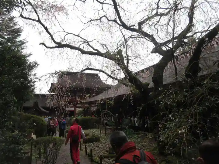 吉野水分神社(吉野町)の自然