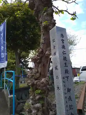 一之宮天満宮（梶原景時館跡）の自然