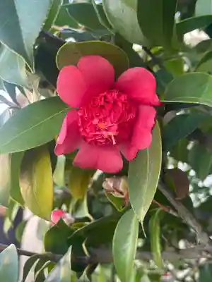 泉州磐船神社(大阪府)