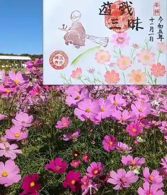 令和5年11月限定①〝遊戯三昧〟（直書き）