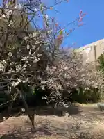 西嶋天満宮の自然