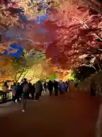 清水寺(京都府)