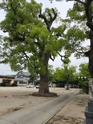 佐賀縣護國神社(佐賀県)