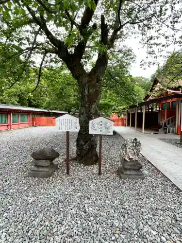 富士山本宮浅間大社(静岡県)