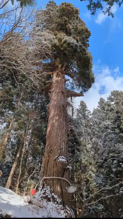 志和稲荷神社(岩手県)