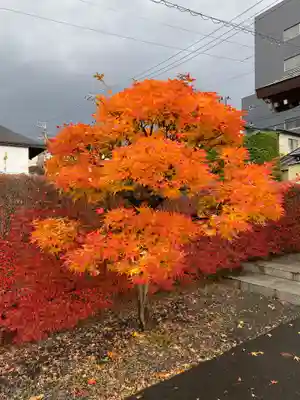 蓮荘寺(秋田県)