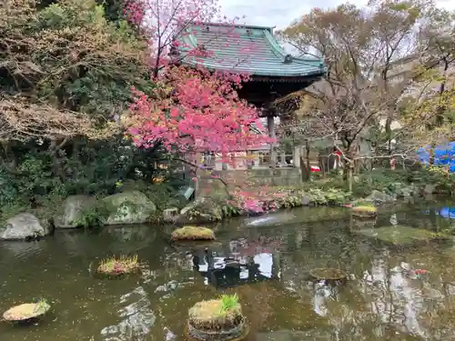 西新井大師総持寺の庭園