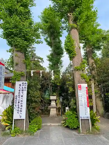 亀ケ池八幡宮の末社・摂社