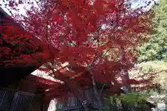 霊山神社の自然