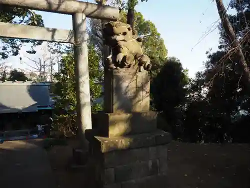 細山神明社の狛犬