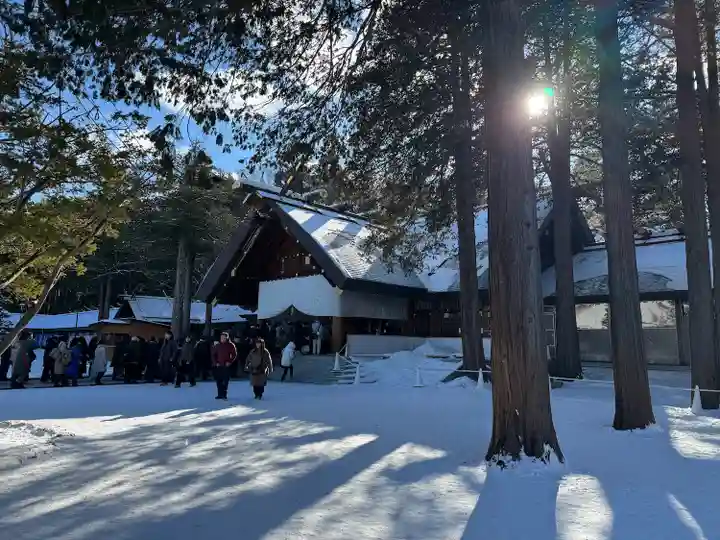 北海道神宮の本殿・本堂
