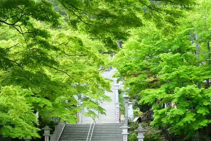 大山阿夫利神社の自然
