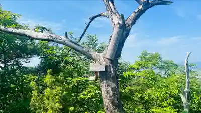 阿賀神社(滋賀県)