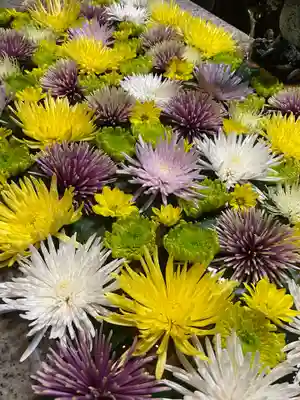 長良神社の手水舎