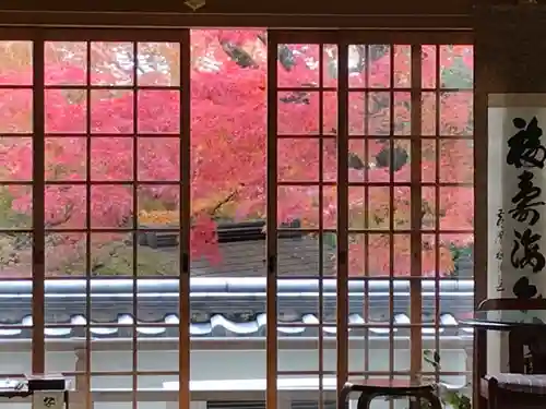 来迎寺(井戸来迎寺・紫雲山来迎寺)のその他建物