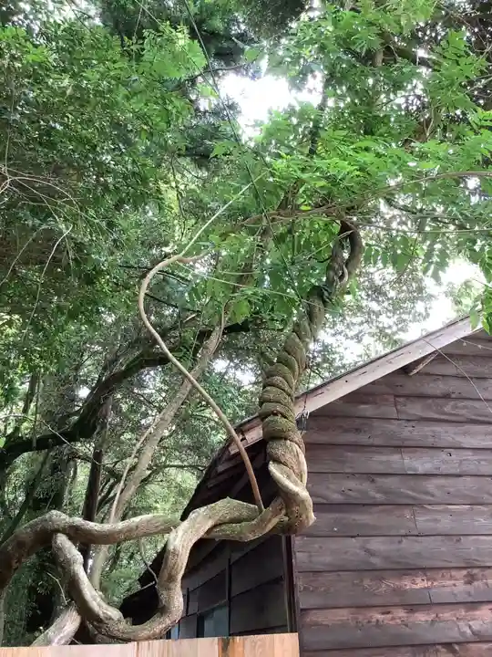 猿投神社の自然