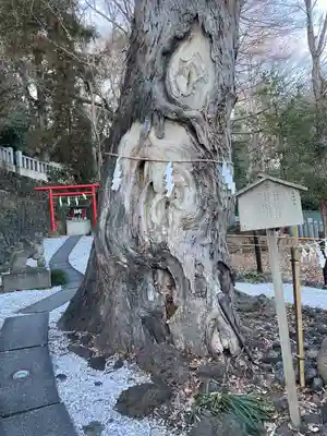 山名八幡宮(群馬県)