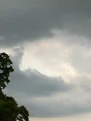雀神社(茨城県)
