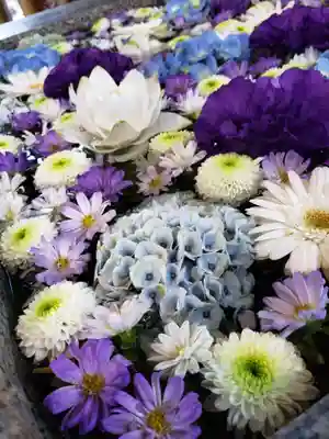 高円寺氷川神社の手水舎