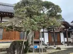 法幢寺(岐阜県)