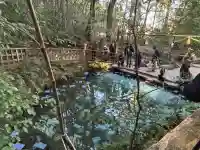 八重垣神社の{uncategorized: "未分類", other: "その他", undefined: "問題あり", building: "その他建物", grave: "お墓", sacred_gate: "鳥居", guardian: "狛犬", statue: "像", buddha: "仏像", history: "歴史", nature: "自然", garden: "庭園", animal: "動物", pagoda: "塔", temizu: "手水舎", mountain_gate: "山門・神門", sanctuary: "本殿・本堂", subordinate: "末社・摂社", art: "芸術", scenery: "景色", jizo: "地蔵", ema: "絵馬", goshuin: "御朱印", omikuji: "おみくじ", items: "授与品その他", amulet: "お守り", goshuincho: "御朱印帳", eats: "食事", festival: "お祭り", votive_dance: "神楽", shichigosan: "七五三参", wedding: "結婚式", experience: "体験その他", initially: "初詣", around: "周辺", anti_infection: "感染症対策"}