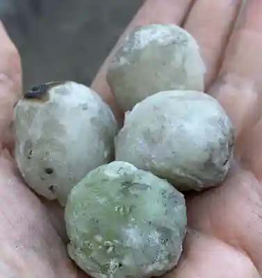 前鳥神社(神奈川県)