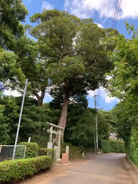 宇賀神社(千葉県)