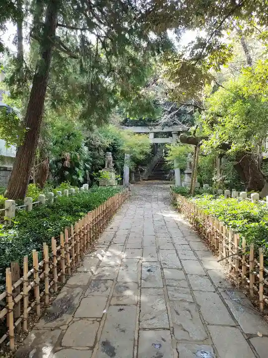 赤坂氷川神社(東京都)