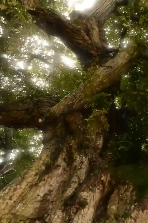 揖夜神社(島根県)