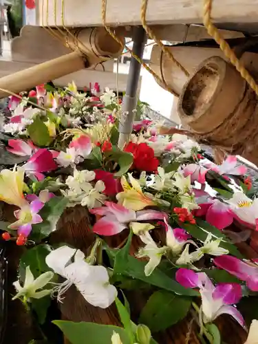 鳩森八幡神社の手水