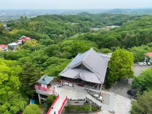 観音山慈眼院（高崎観音）の景色