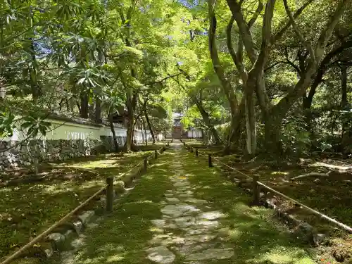 西芳寺(京都府)