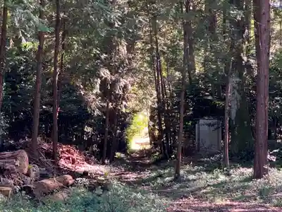鴨大神御子神主玉神社の周辺