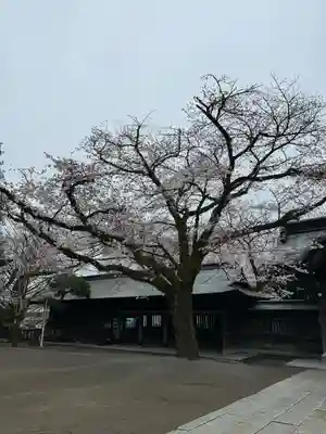 宇都宮二荒山神社(栃木県)