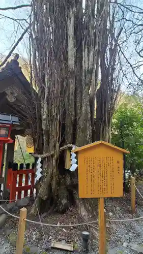 貴船神社の歴史