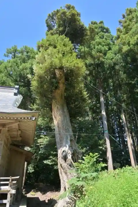 宇奈具志神社(新潟県)
