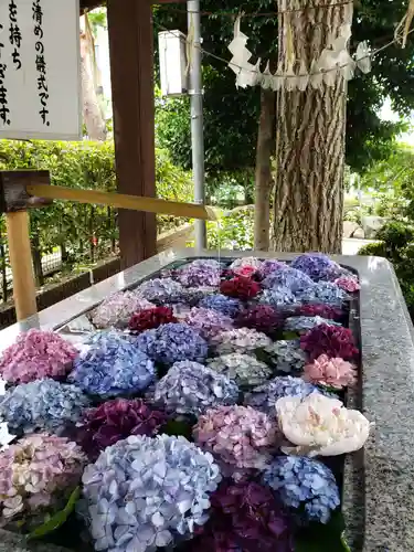 桜神宮の手水