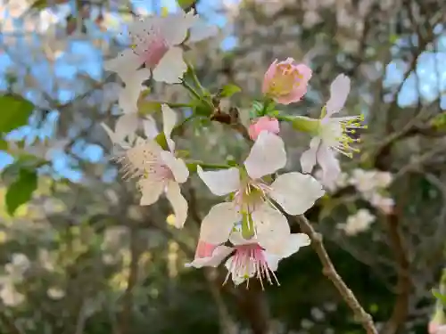 普門寺(切り絵御朱印発祥の寺)(愛知県)
