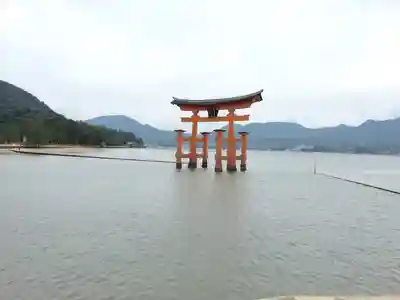 厳島神社の鳥居