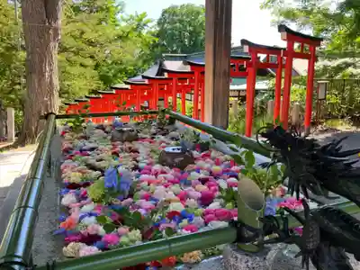住吉神社の手水舎