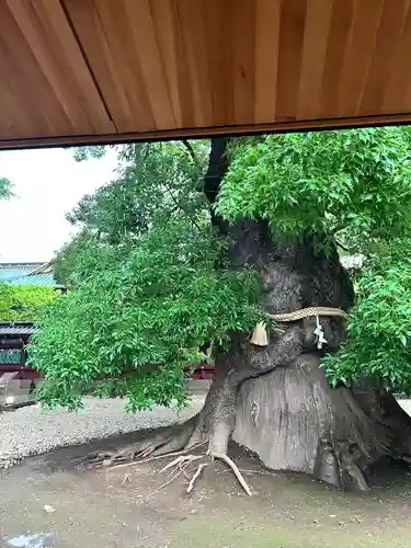 上野東照宮(東京都)