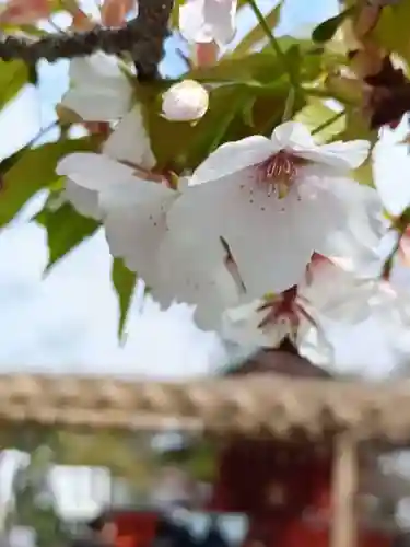 旗上弁財天社(神奈川県)