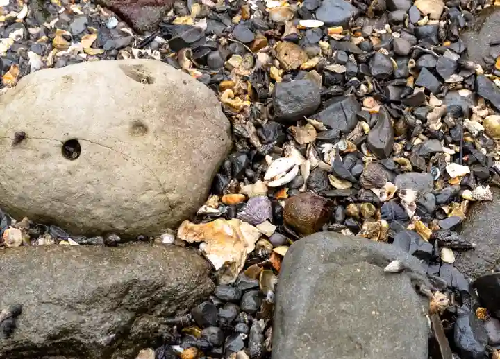 青島神社(青島神宮)(宮崎県)
