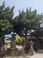 住吉神社(香川県)