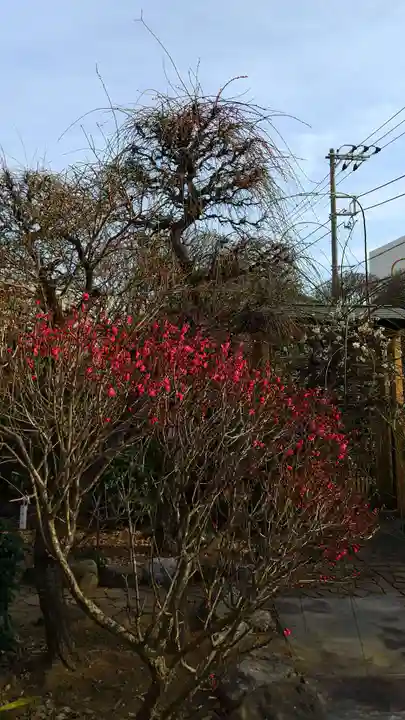 小村井 香取神社の庭園