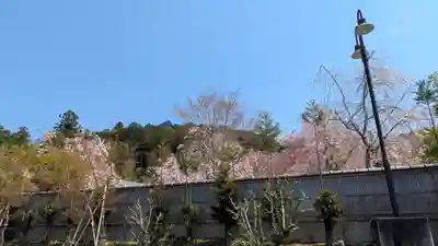 圓光寺(京都府)